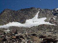 CH, Wallis, Saas Grund, Hohsaas, Weissmies 6, Saxifraga-Willem van Kruijsbergen